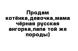 Продам котёнка,девочка,мама чёрная русская ангорка,папа той же породы)